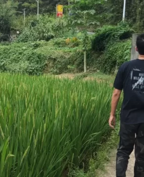 大学生男模兼职，讲诚信真实可靠